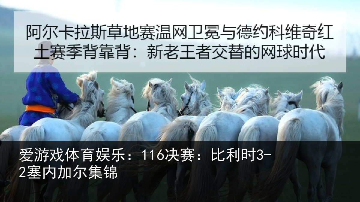 爱游戏体育娱乐:116决赛:比利时3-2塞内加尔集锦