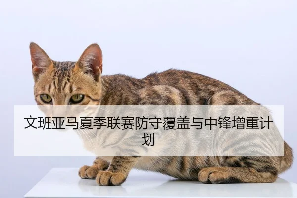 文班亚马夏季联赛防守覆盖与中锋增重计划