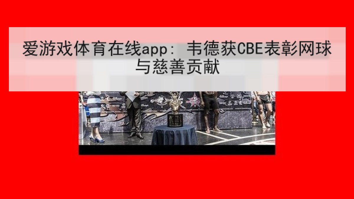 爱游戏体育在线app: 韦德获CBE表彰网球与慈善贡献 爱游戏体育在线app: 韦德获CBE表彰网球与慈善贡献